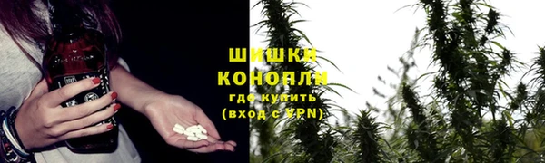 PSILOCYBIN Краснослободск