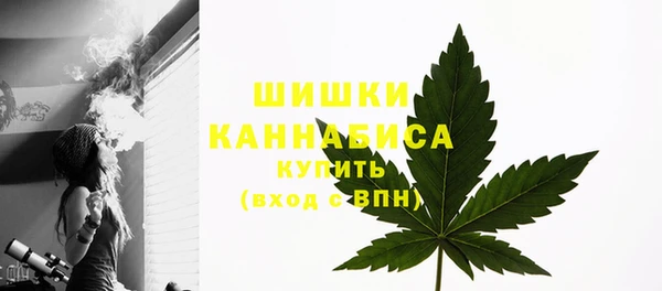 PSILOCYBIN Краснослободск