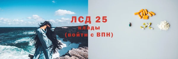 PSILOCYBIN Краснослободск