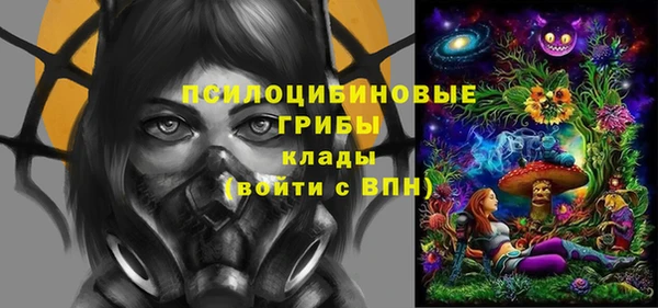 PSILOCYBIN Краснослободск