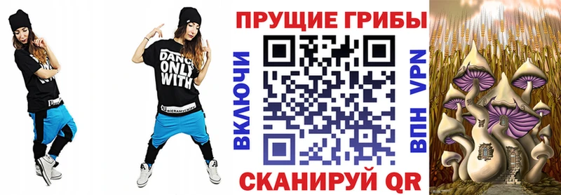 Купить закладки Михайлов Псилоцибиновые грибы ЛСД